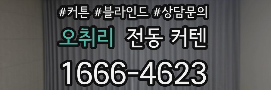 오취리 전동 커텐