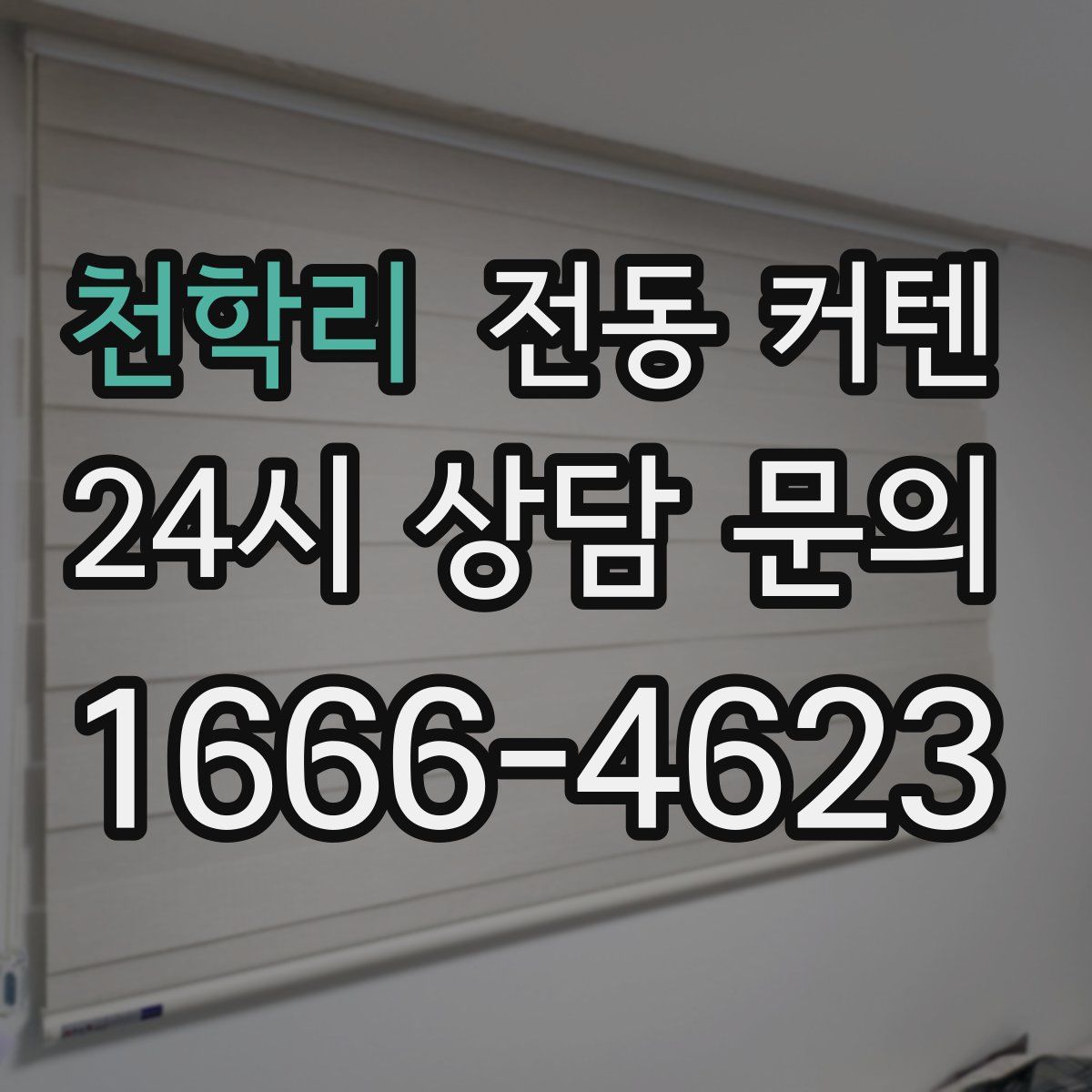 천학리 전동 커텐