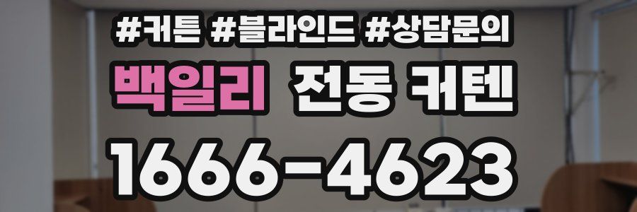 백일리 전동 커텐