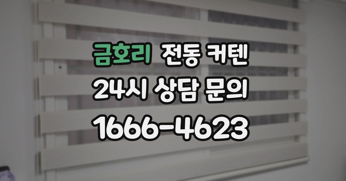 금호리 전동 커텐