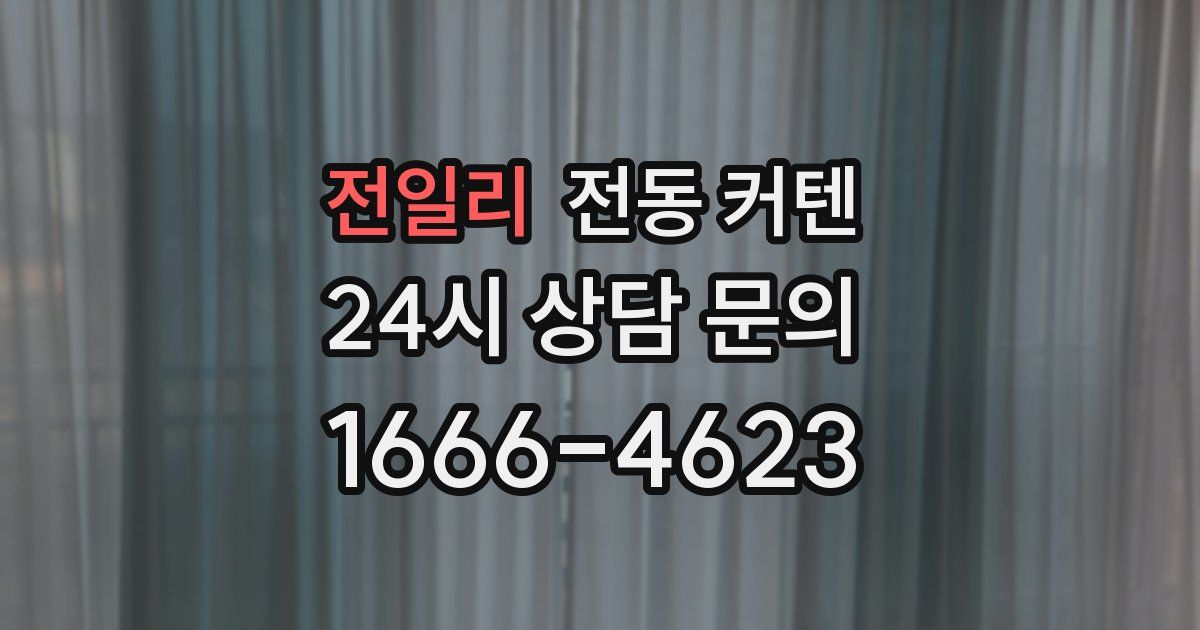 전일리 전동 커텐