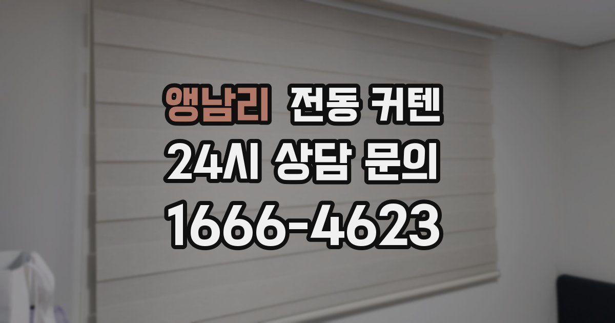 앵남리 전동 커텐
