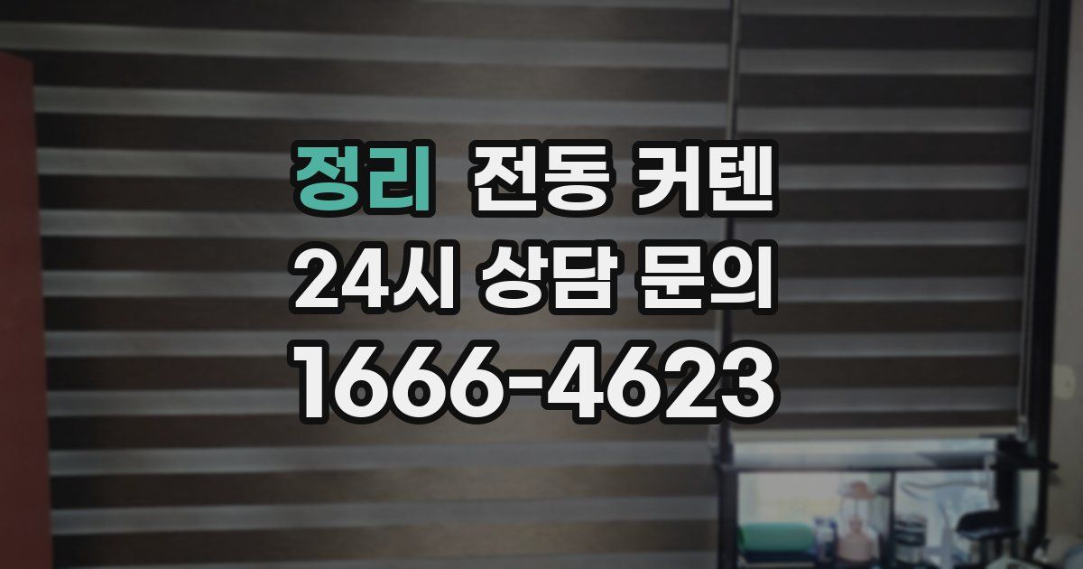 정리 전동 커텐