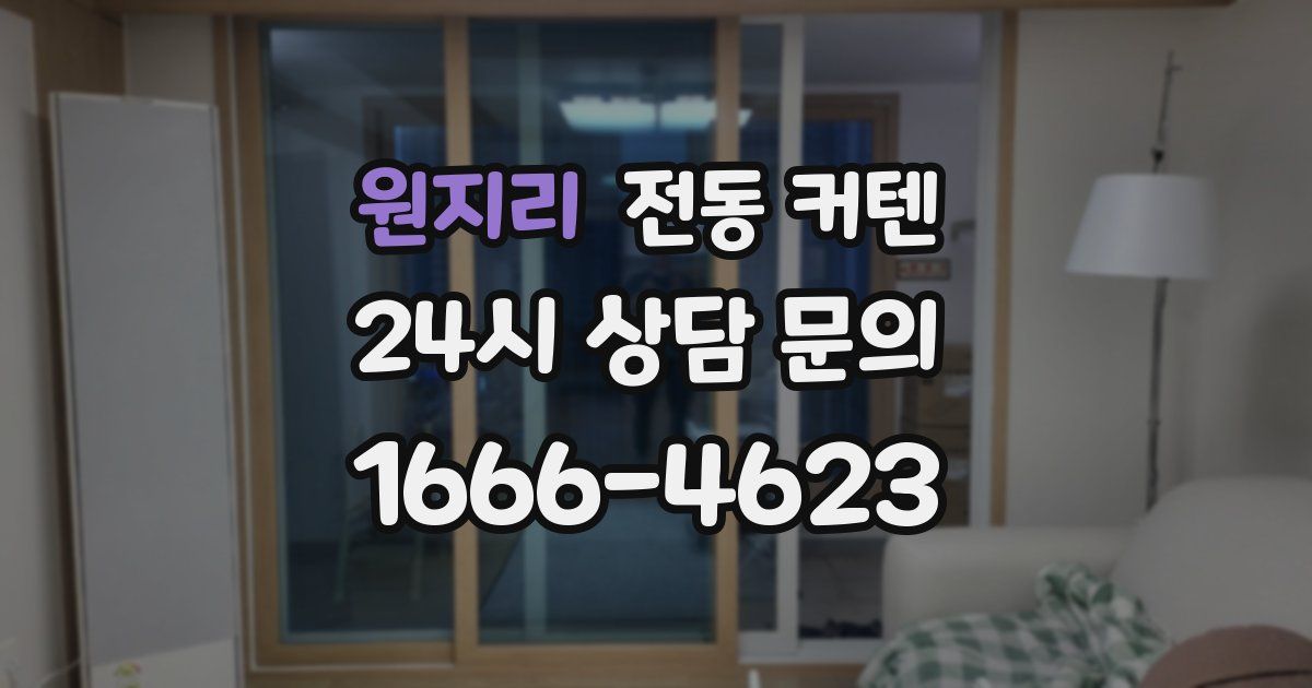 원지리 전동 커텐