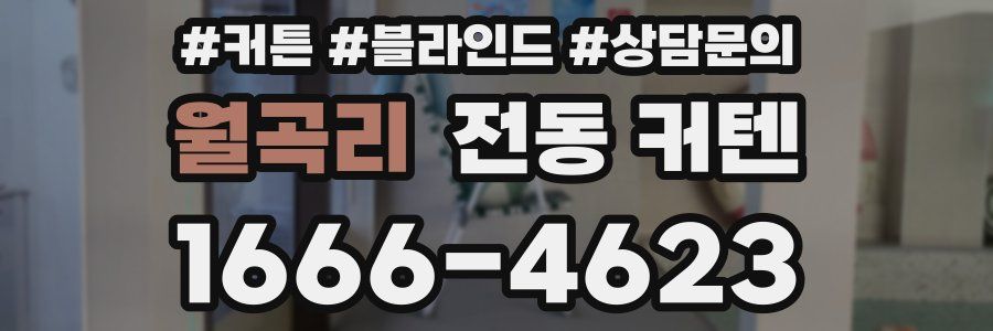 월곡리 전동 커텐