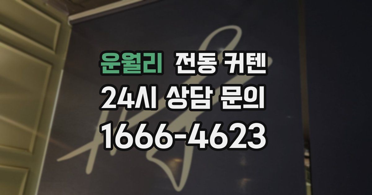 운월리 전동 커텐