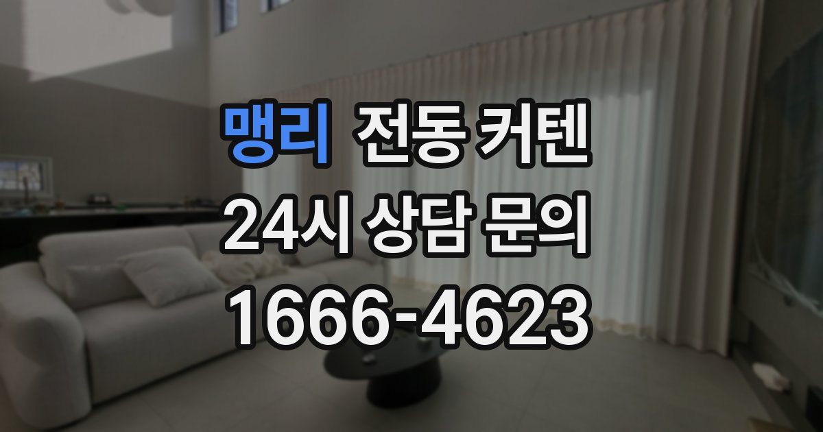 맹리 전동 커텐