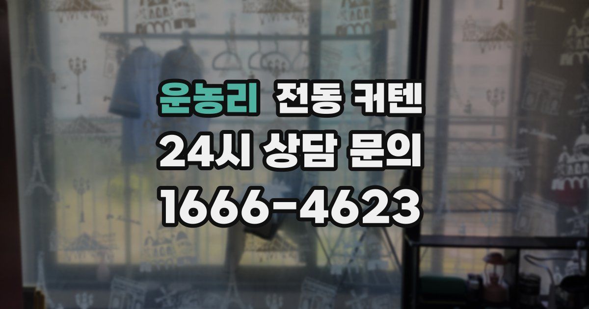 운농리 전동 커텐