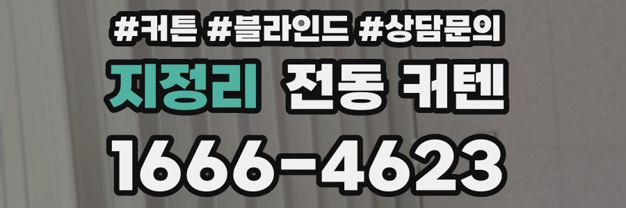 지정리 전동 커텐