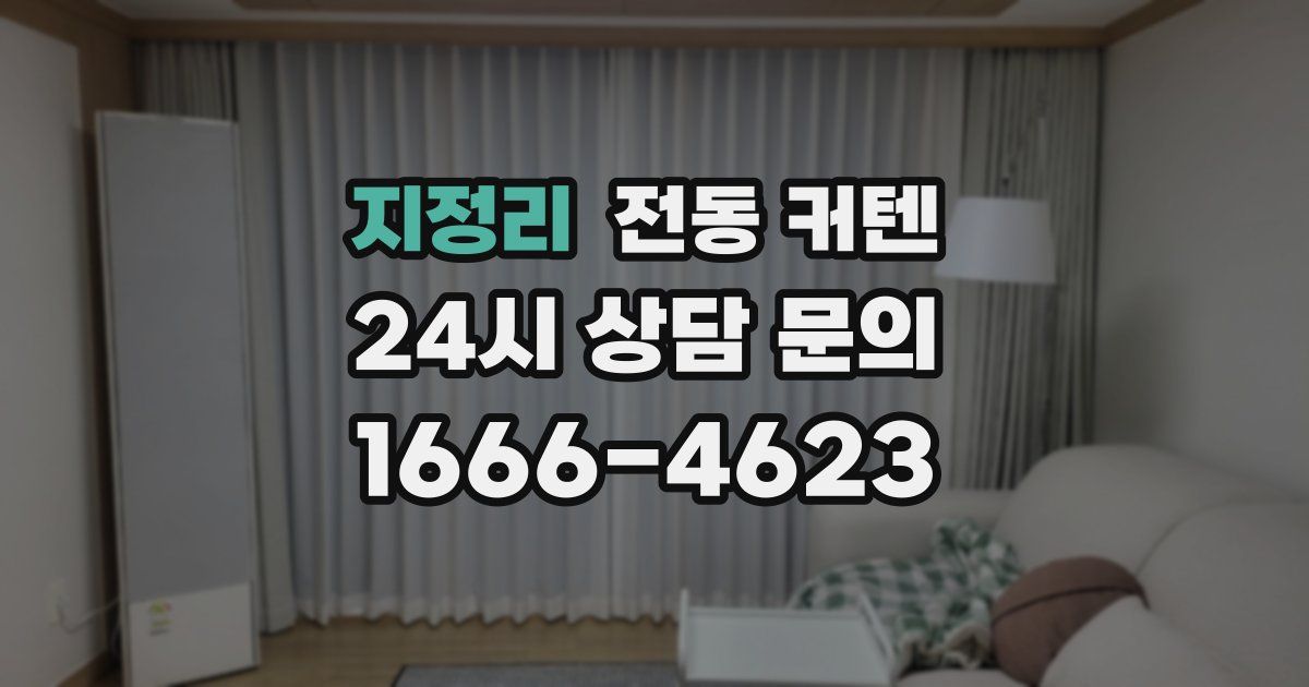 지정리 전동 커텐