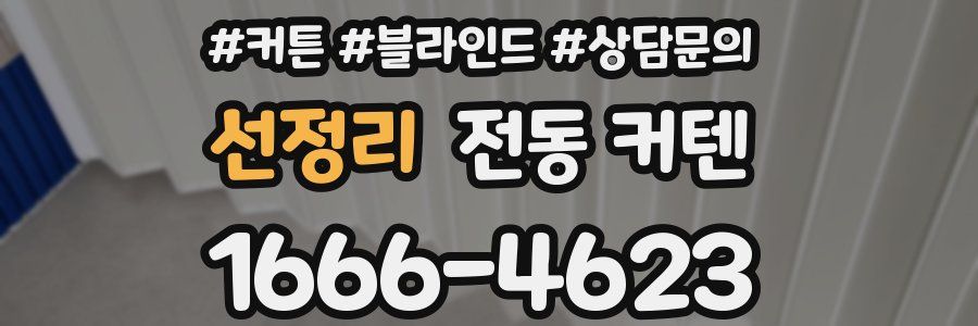 선정리 전동 커텐