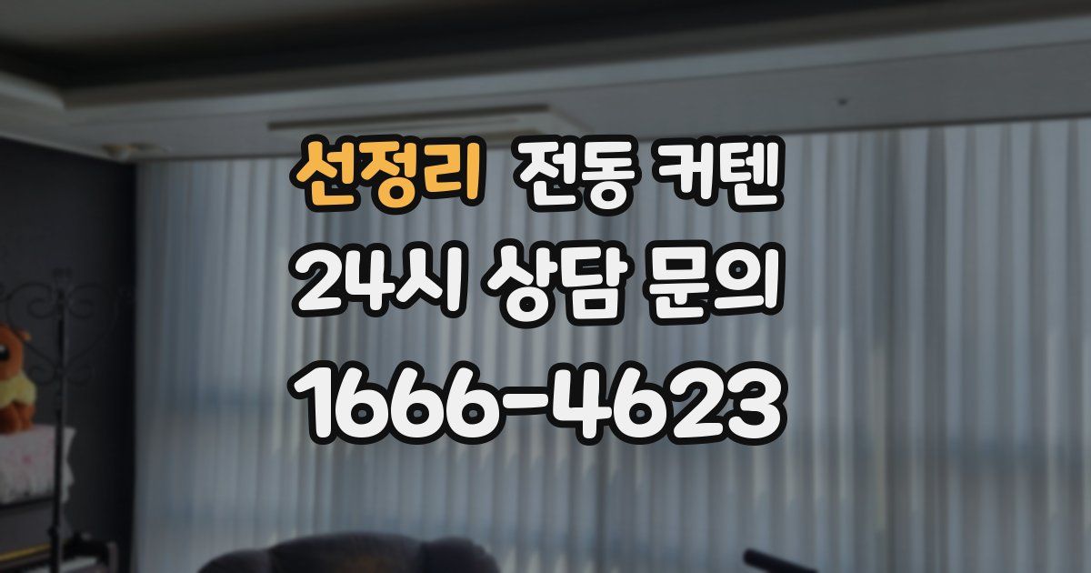 선정리 전동 커텐