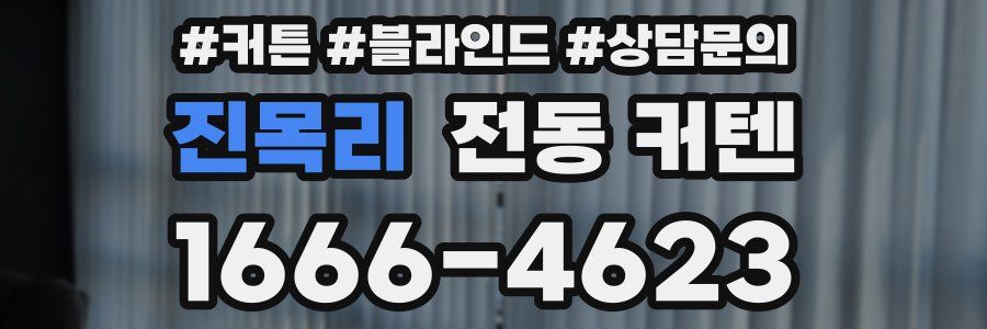 진목리 전동 커텐