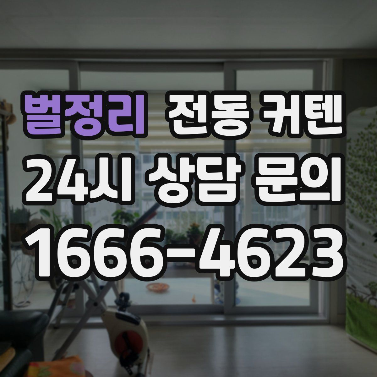 벌정리 전동 커텐