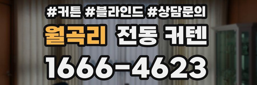 월곡리 전동 커텐