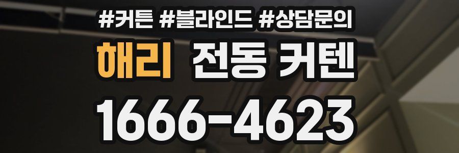 해리 전동 커텐