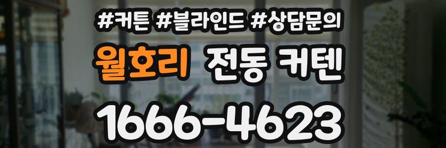 월호리 전동 커텐