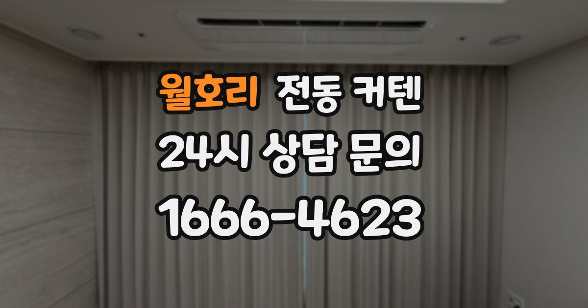 월호리 전동 커텐