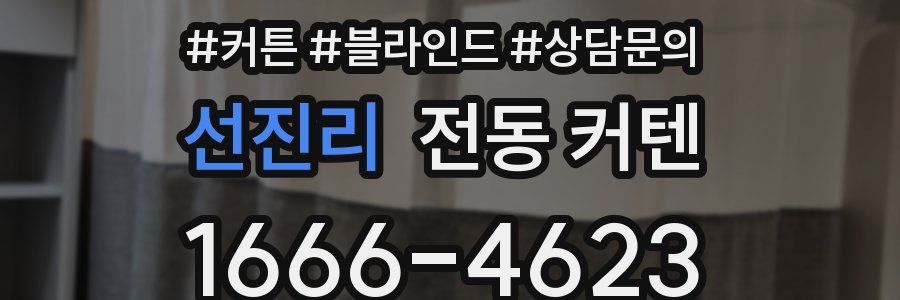 선진리 전동 커텐