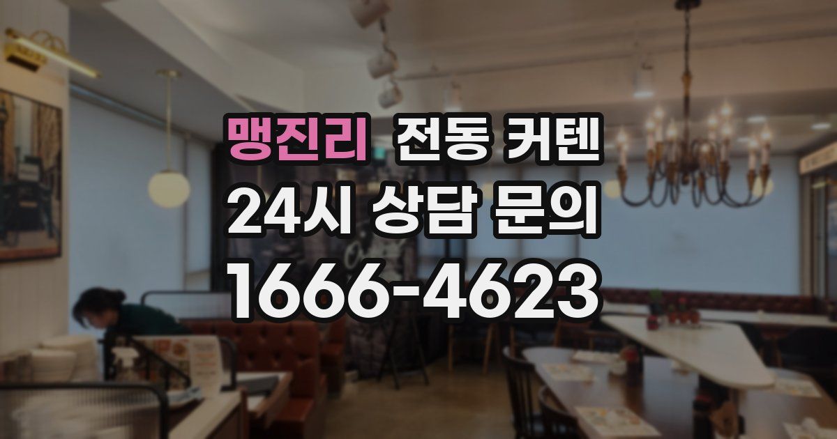맹진리 전동 커텐