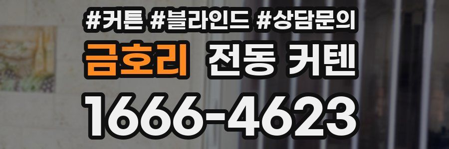 금호리 전동 커텐