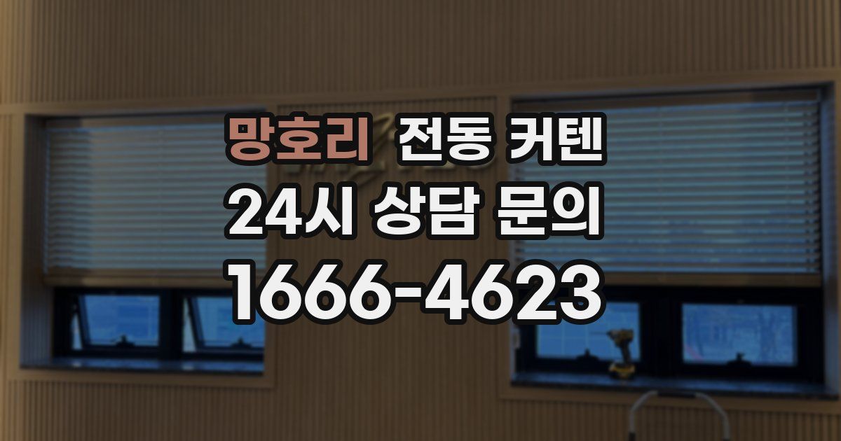 망호리 전동 커텐