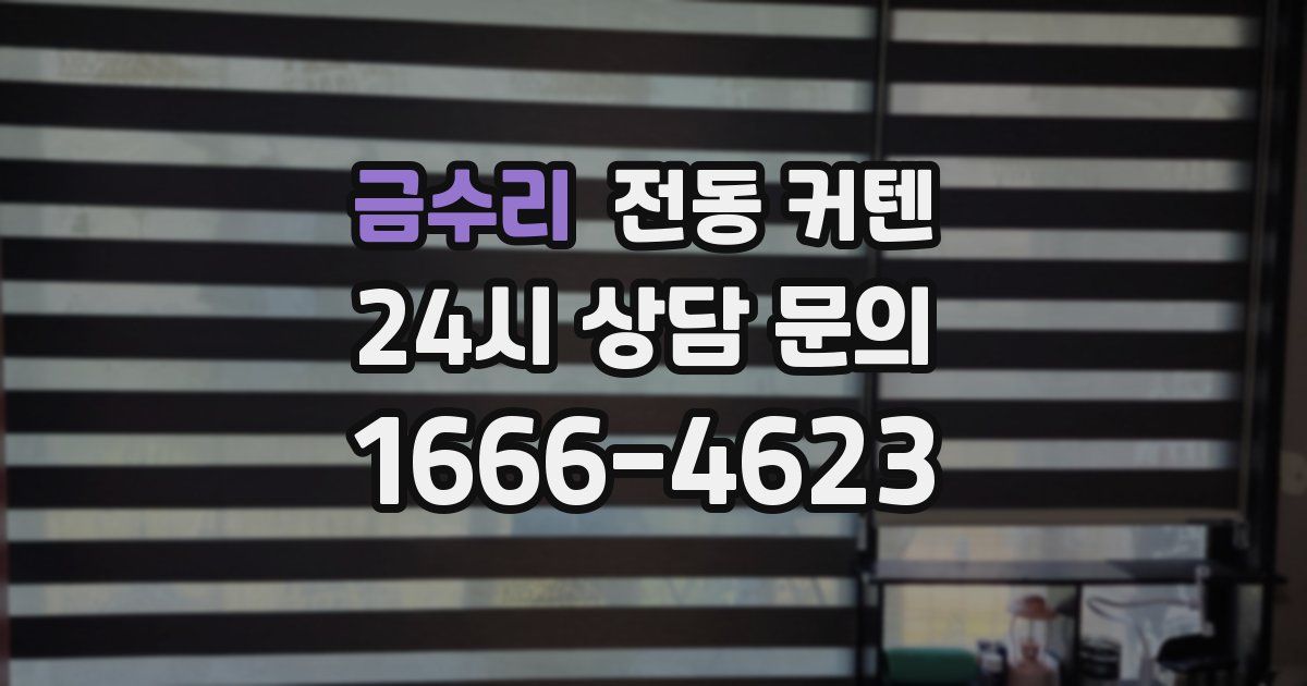 금수리 전동 커텐