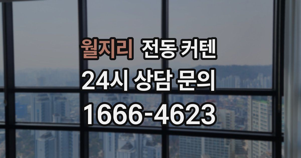 월지리 전동 커텐