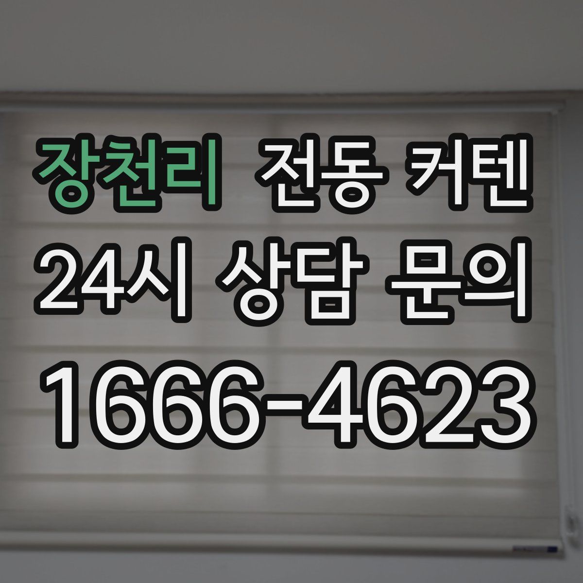 장천리 전동 커텐