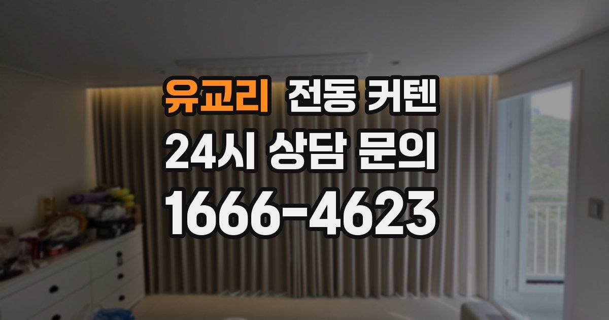 유교리 전동 커텐