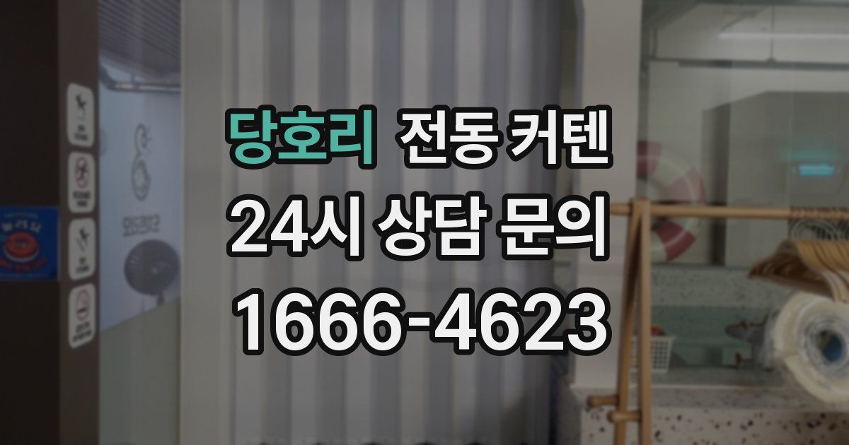 당호리 전동 커텐