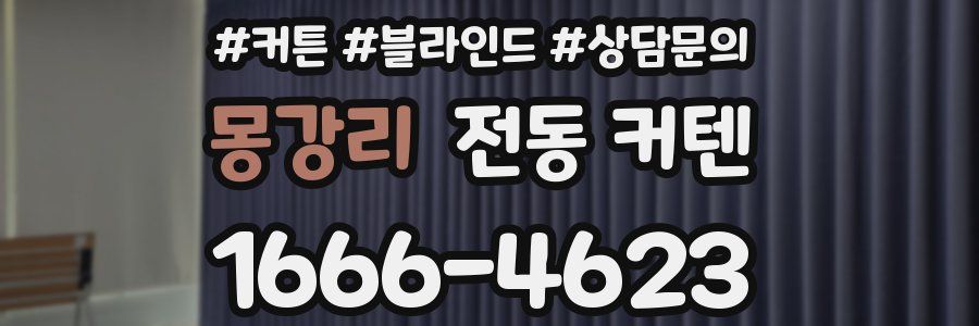 몽강리 전동 커텐