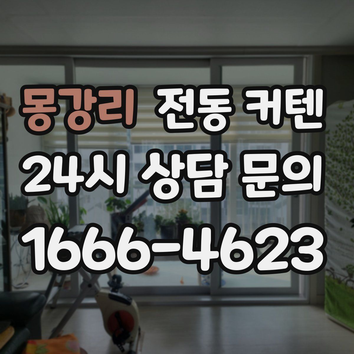 몽강리 전동 커텐