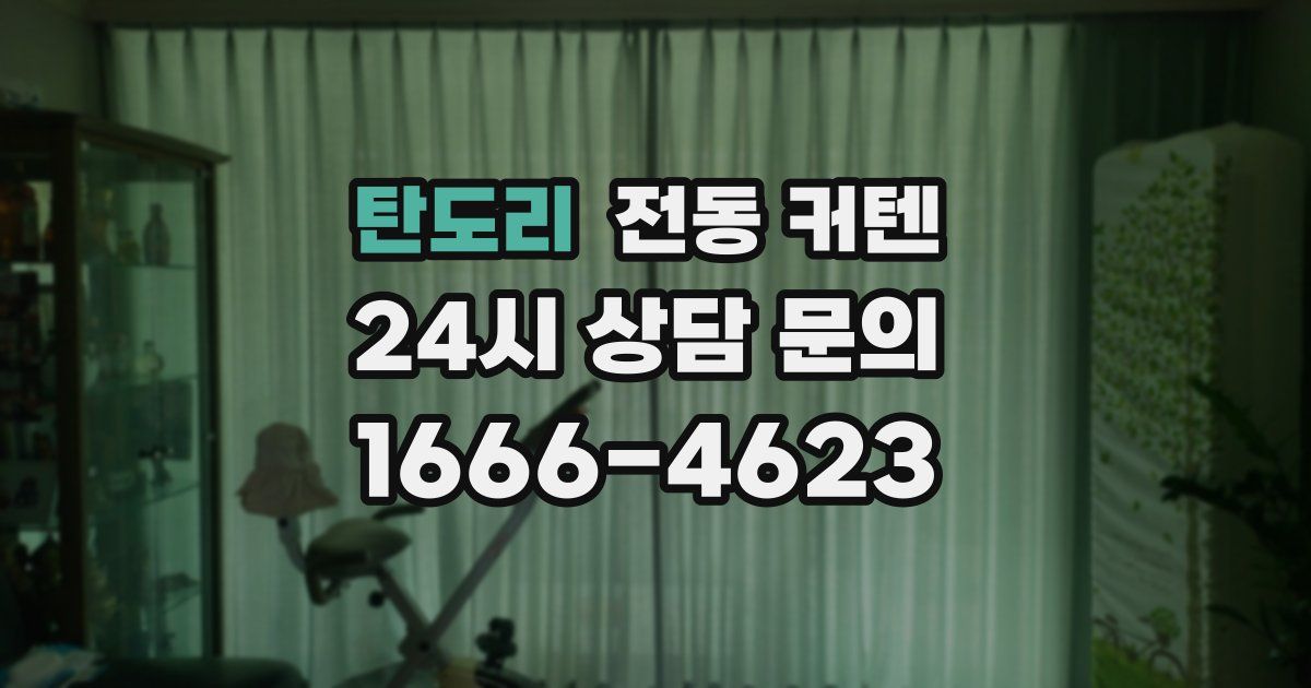 탄도리 전동 커텐