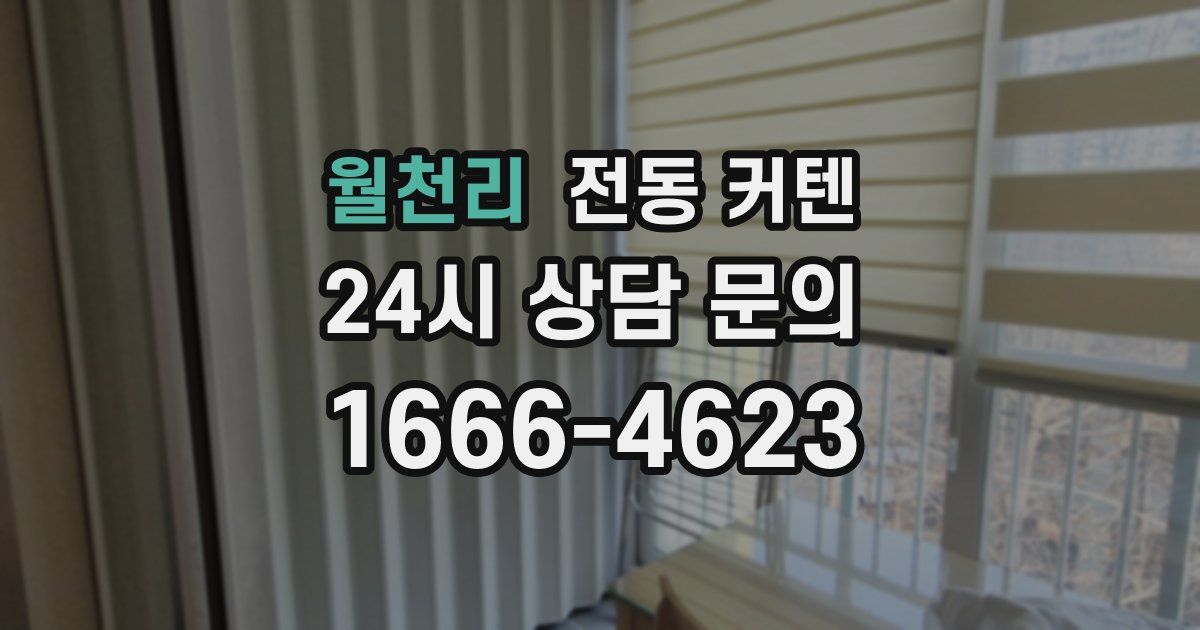 월천리 전동 커텐