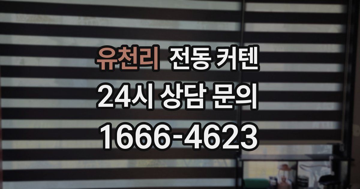 유천리 전동 커텐