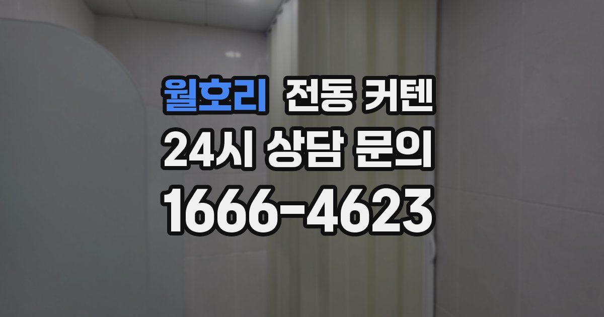 월호리 전동 커텐