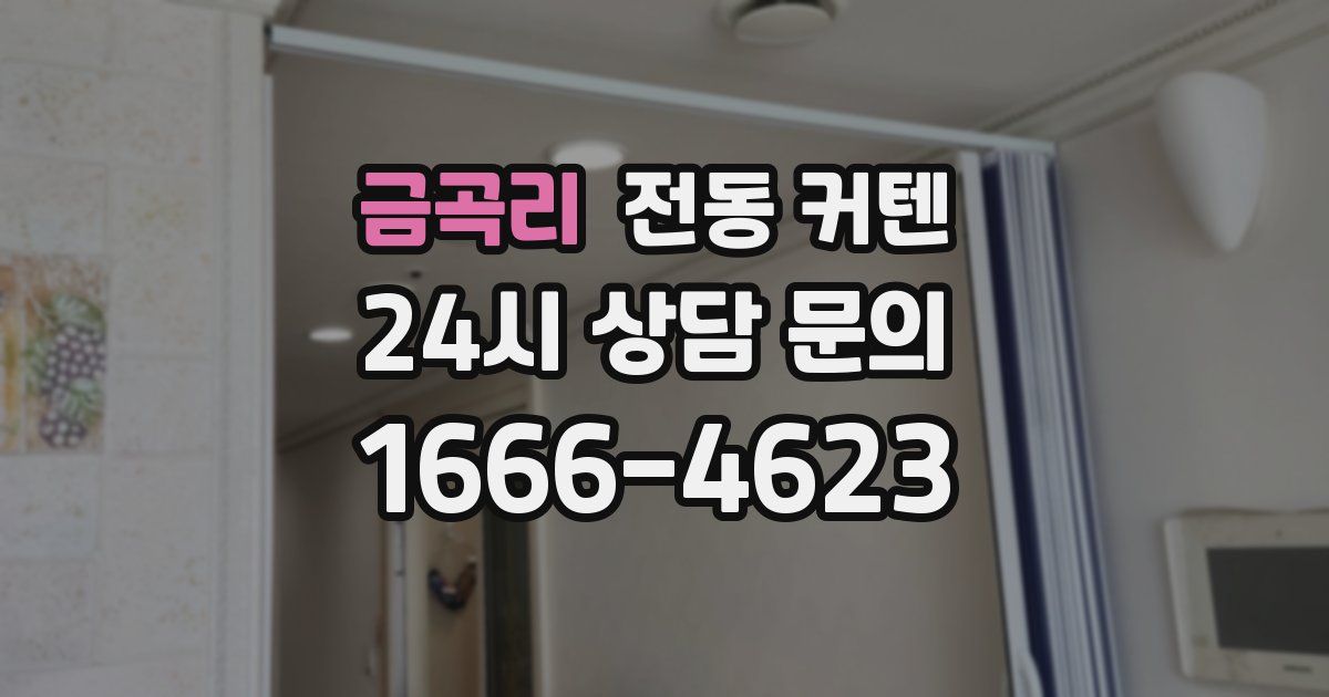 금곡리 전동 커텐