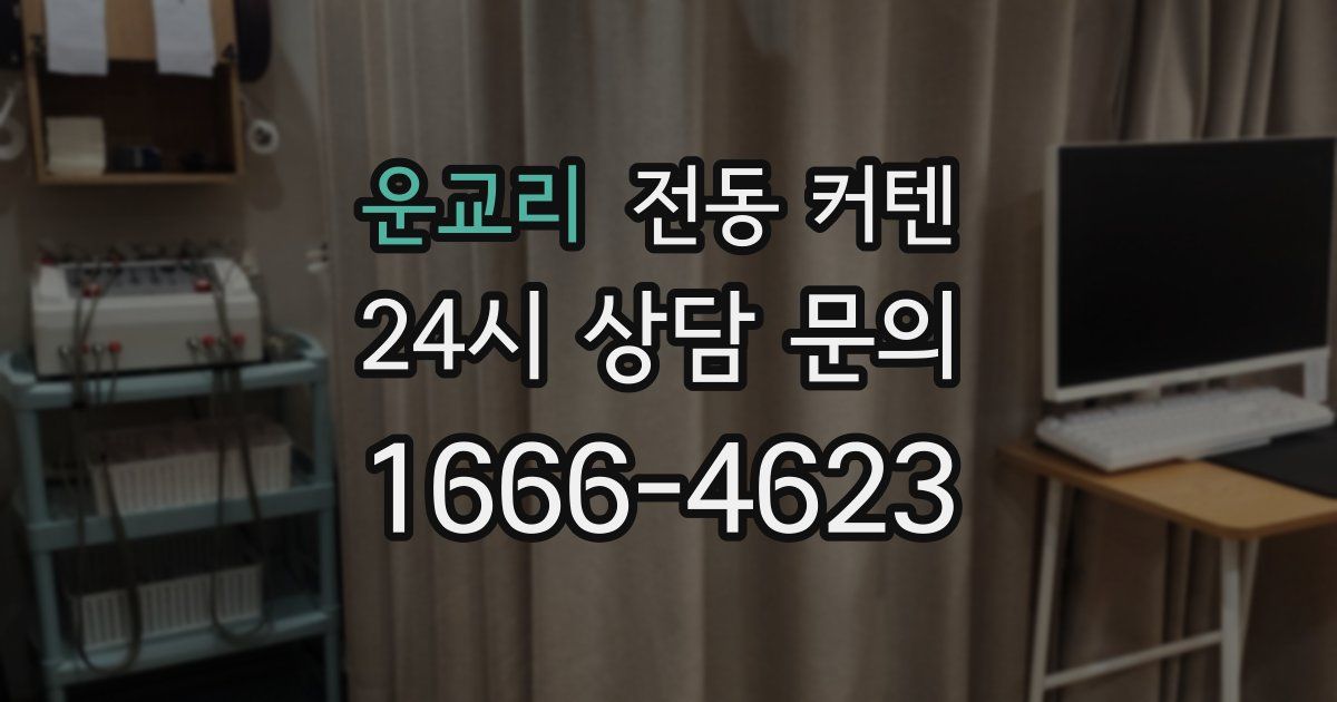 운교리 전동 커텐