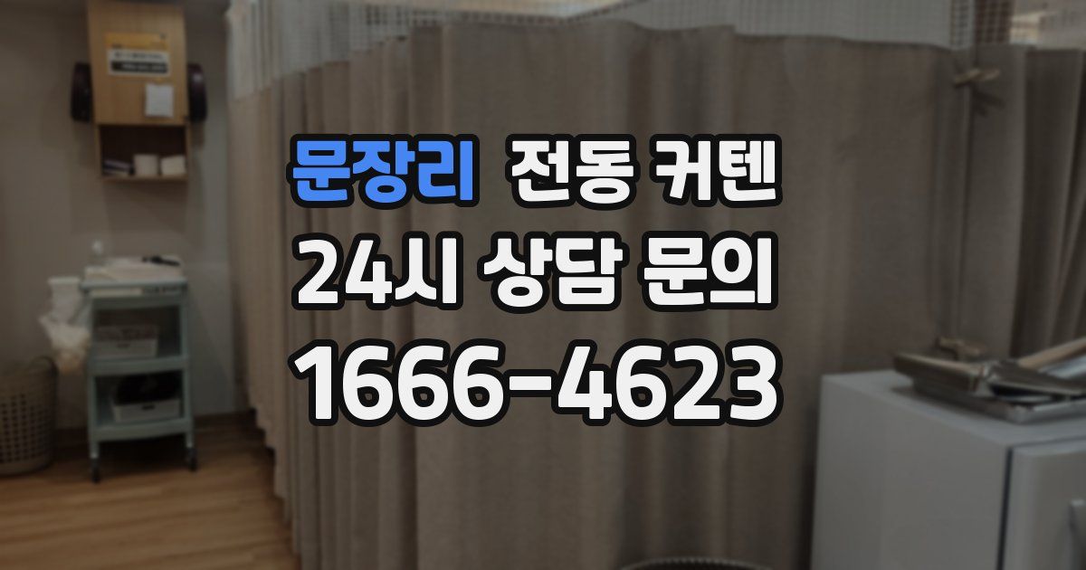 문장리 전동 커텐