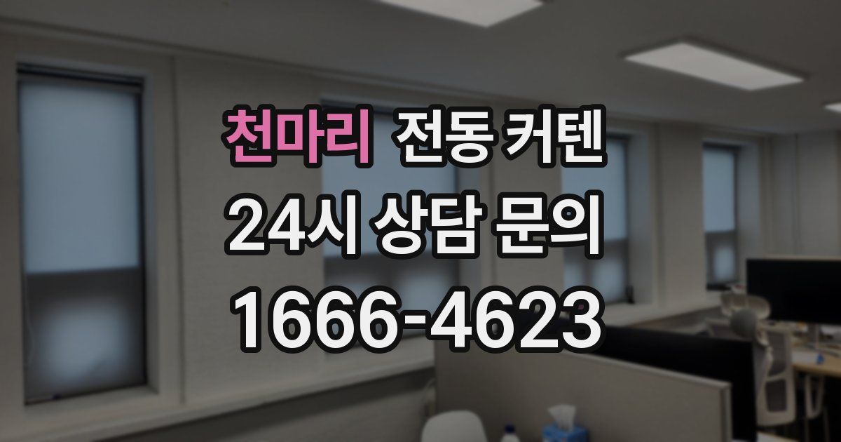 천마리 전동 커텐