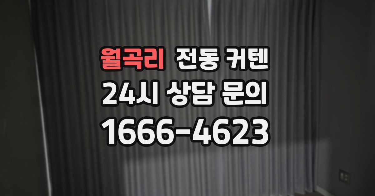 월곡리 전동 커텐