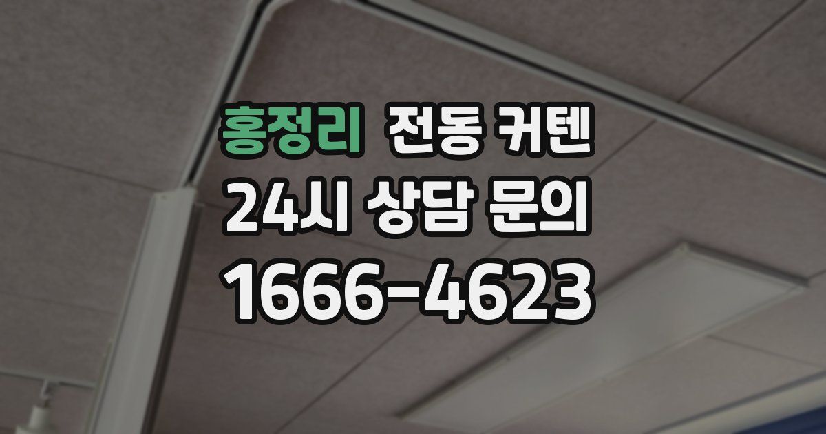 홍정리 전동 커텐