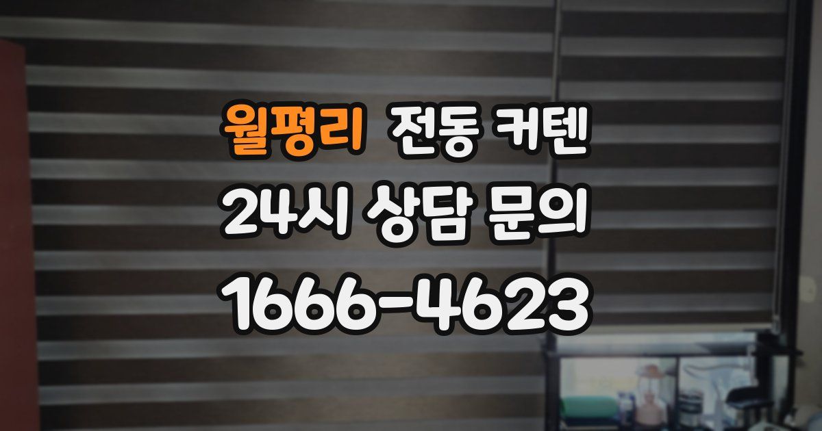월평리 전동 커텐