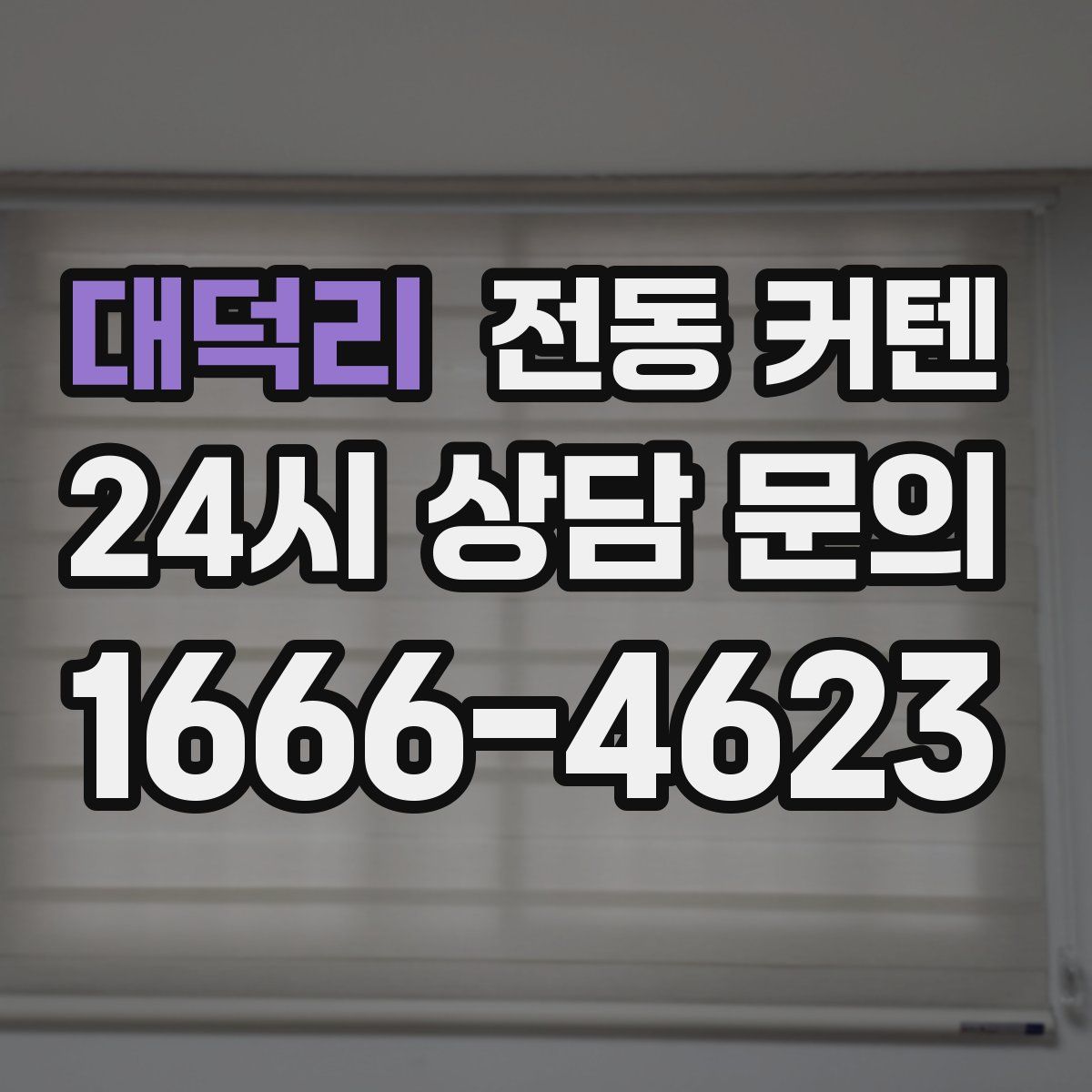 대덕리 전동 커텐
