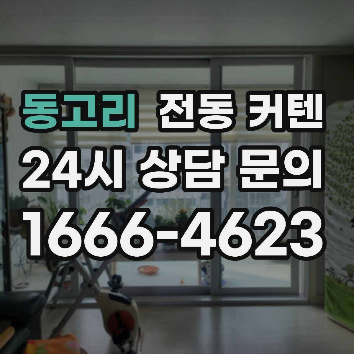 동고리 전동 커텐