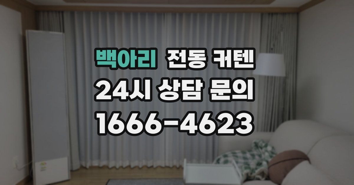 백아리 전동 커텐