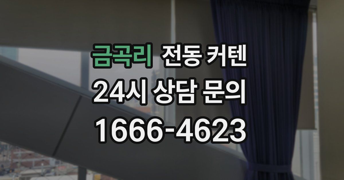 금곡리 전동 커텐