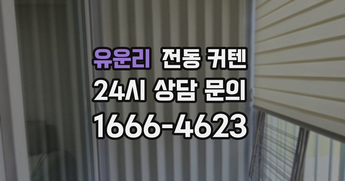 유운리 전동 커텐