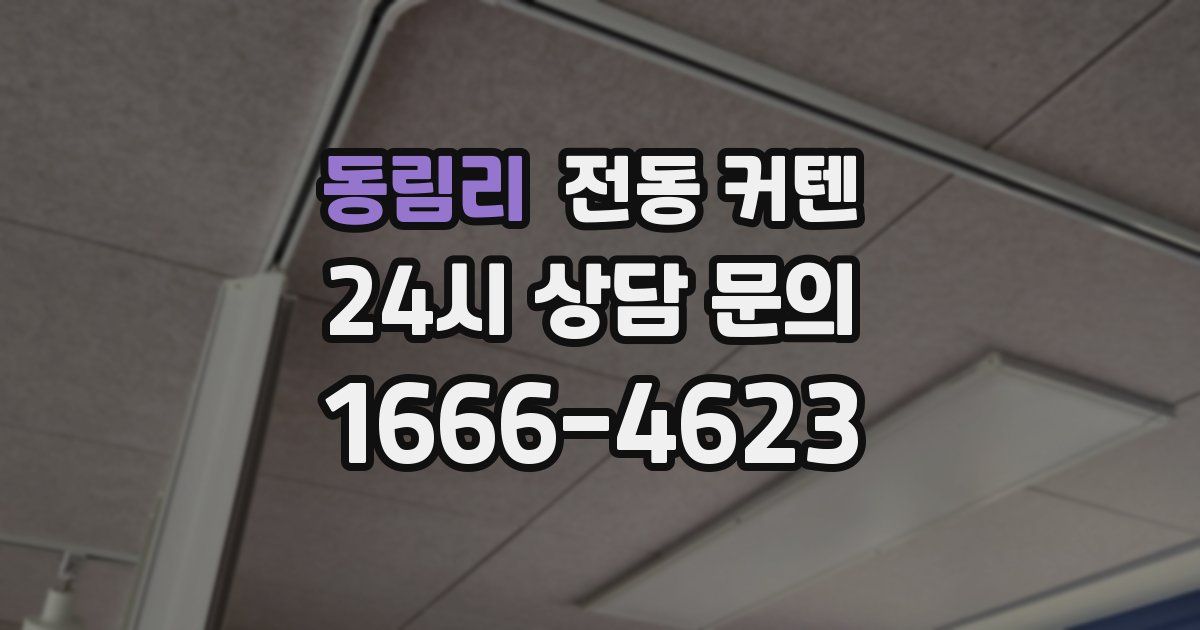 동림리 전동 커텐